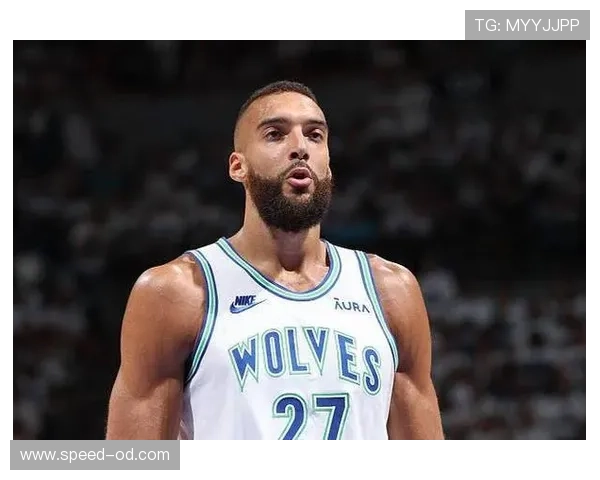 戈贝尔护筐效率领跑联盟，防守影响力拉开内线差距